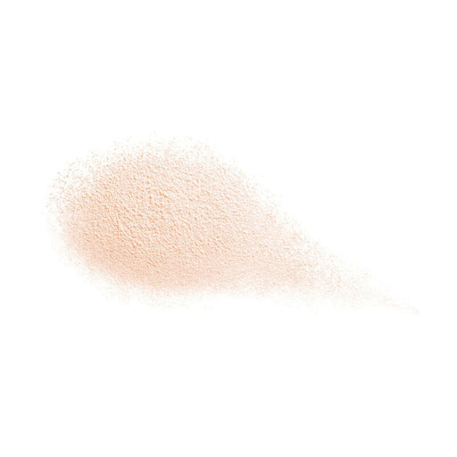 Polveri sfuse Shiseido Future Solution LX 10 g