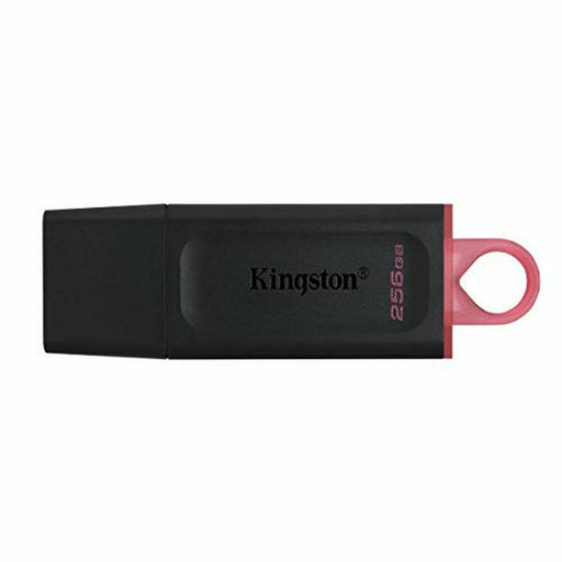 Memoria USB Kingston DTX/256GB Portachiavi Nero 256 GB