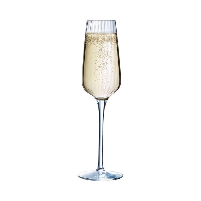 Juego de Copas Chef &amp; Sommelier Symetrie Champagne 6 Unidades Cristal Transparente 210 ml