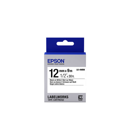 Etichette per Stampante Epson C53S654021 Nero
