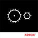 Fusore Rigenerato Xerox 013R00691
