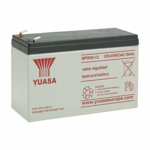 Batteria per Gruppo di Continuità UPS Yuasa NPW45-12 12 V