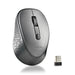 Mouse NGS DEWGRAY Grigio