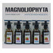 Olio Viso Magnoliophytha 8436592580378 30 ml 50 ml (50 ml)