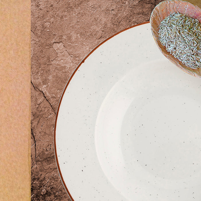 Prato de Jantar Ariane Terra Ceramica Bege (Ø 31 cm) (6 Unidades)