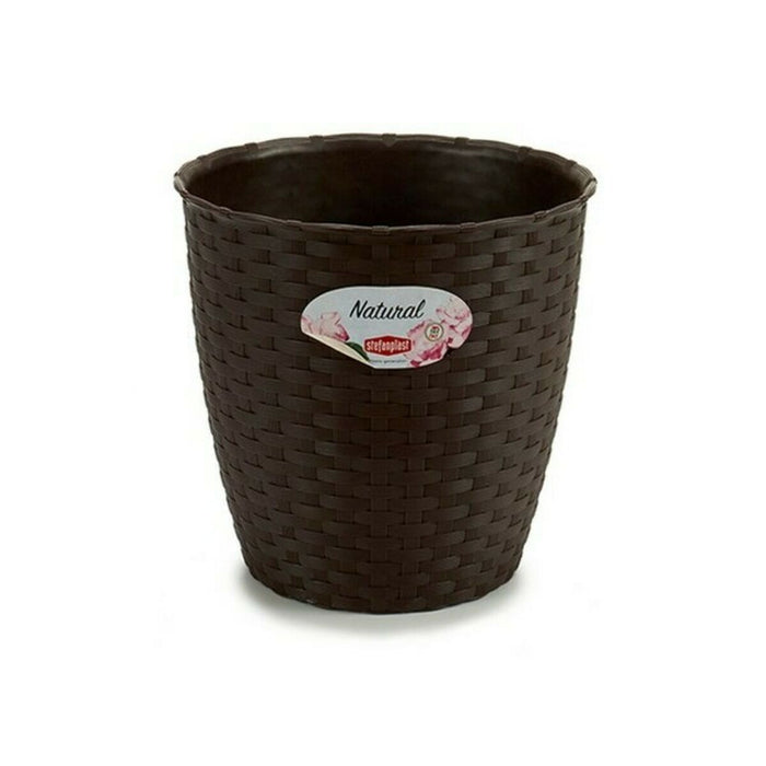 Vaso Stefanplast Plastica Cioccolato 19 x 17,5 x 19 cm (12 Unità)