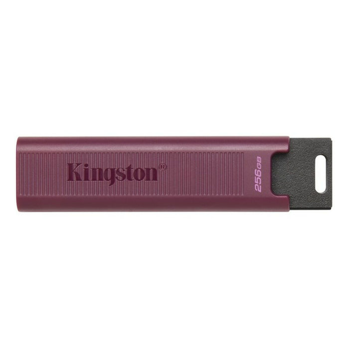 Memoria USB Kingston DTMAXA/256GB 256 GB