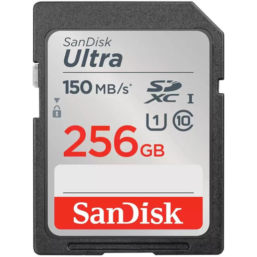 Scheda Di Memoria SD SanDisk Ultra 256 GB